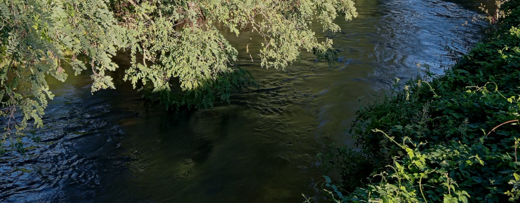 Il torrente Arbogna nei pressi di San Giorgio