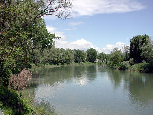 Il fiume Po